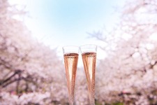 中目黒のお花見イベント、今年も「お花見 CHANDON」 3月初旬から開催！ 画像