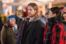 『ボブという名の猫』続編、特報映像が到着！邦題は『幸せのギフト』に 画像