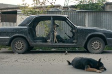 “宇宙飛行犬”の理不尽さを地上の犬たちから問うドキュメンタリー『犬は歌わない』日本公開 画像