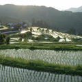 里山 2枚目の写真・画像