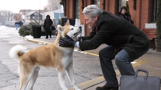 HACHI 約束の犬 1枚目の写真・画像