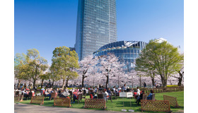 東京ミッドタウンで「Midtown Blossom 2016」3月18日（金）から4月17日（日）開催