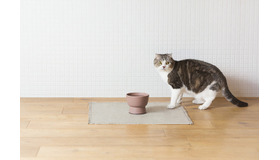 RINN Inc.が新作猫用水飲み器「Cat Water Bowl」の予約注文受付を開始