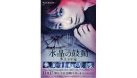 連続ドラマW「水晶の鼓動 殺人分析班」ポスタービジュアル