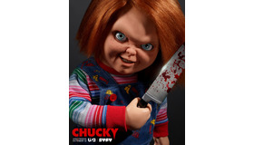 「Chucky」（原題）(C) APOLLO