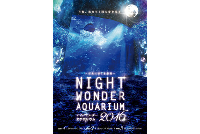 月に照らされる“夜の水族館”…新江ノ島水族館で「ナイトワンダーアクアリウム」開催 画像