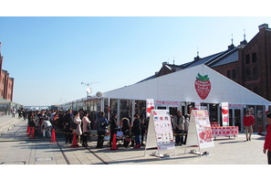 旬のいちごを堪能！ ストロベリーフェスティバル、横浜赤レンガ倉庫で開催 画像