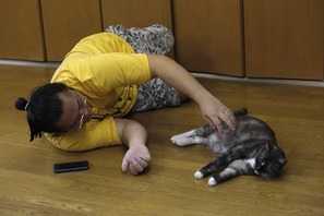 相撲部屋で暮らす話題の猫に密着！「相撲部屋の幸せな猫たち」写真集発売 画像