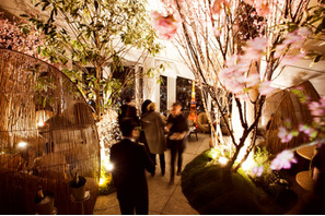 アンダーズ 東京「ルーフトップ バー」で夜景とお酒＆美食が楽しめる「さくら ガーデン」開催 画像