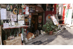 レトロで不思議なネコ屋敷・谷中「ねんねこ家」で、 気まぐれネコと戯れる 画像