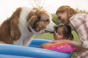 何度も“犬生”を生きるベイリー、新たな相棒は孫娘！『僕のワンダフル・ジャーニー』予告 画像