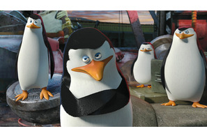 『マダガスカル』頭脳派ペンギンズのスピンオフ製作決定！　痛快ナビゲート映像も到着 画像