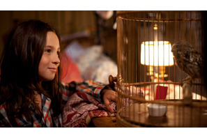 喋る“フクロウ”が少女を見守る守護天使に！『マチルド、翼を広げ』日本公開決定