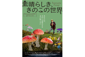 森に広がる驚異と神秘！めくるめくきのこの世界とらえた『素晴らしき、きのこの世界』予告編