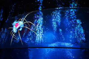 新江ノ島水族館、3Dで深海映す「ナイトアクアリウム」開催 画像