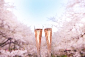 中目黒のお花見イベント、今年も「お花見 CHANDON」 3月初旬から開催！ 画像