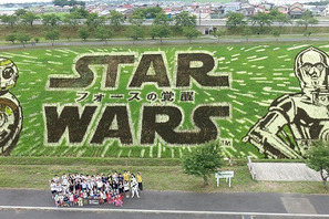 『スター・ウォーズ』田んぼアート、公式“見ごろ宣言”！ 世界へと発信 画像