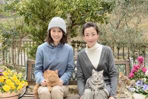 前田敦子、宮沢りえ主演「グーグーだって猫である2」に出演決定に歓喜！ 画像