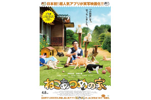 伊藤淳史主演『ねこあつめの家』“キャット”＆“キャスト”集結ポスター完成 画像