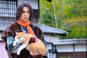 『猫忍』『ねこあつめの家』ほかキュートな猫映画が続々公開 画像