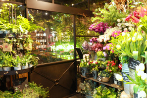 花と緑に囲まれた癒し空間「青山フラワーマーケット ティーハウス」 画像