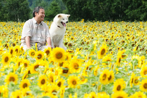 泣ける！　31万部突破の漫画「星守る犬」が西田敏行主演で映画化 画像