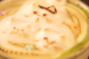 隠れ猫を探せ！ 猫のいない猫カフェでラテアートにほっこり 画像