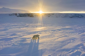 あらゆる垣根を越えて、たった1つの地球を知る「アースデイ」…ディズニープラスで“地球探求”の旅へ 画像