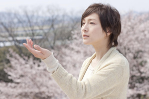 水無昭善さんのトークショー付き『桜、ふたたびの加奈子』女性限定試写会に10組20名様ご招待 画像