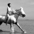 『白い馬』 -(C) &COPY; Copyright Films Montsouris 1956
