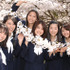 山形県寒河江市の満開の桜の下で行われた『櫻の園』記者会見