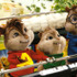 『アルビン／歌うシマリス3兄弟』 Alvin and the Chipmunks Characters TM & -(C) 2007 Bagdasarian Productions, LLC. All rights reserved. -(C) 2007 Twentieth Century Fox Film Corporation.  All rights reserved.