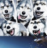 『X-ミッション』のイメージソングを手がける「MAN WITH A MISSION」（C）2015WARNER BROS.ENTERTAINMENT INC.