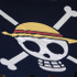 劇場版『ONE PIECE』完成披露試写会　客席に広げられた「麦わら海賊団」の海賊旗