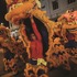 International Chinese New Year Night Parade