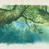『宮崎駿展』イメージ画『もののけ姫』(1997)背景画（C）1997 Studio Ghibli・ND