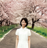 「夢追い日記」仙台の満開の桜に感動