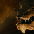 『ホビット 竜に奪われた王国』-(C) 2013 WARNER BROS. ENTERTAINMENT INC. AND METRO-GOLDWYN-MAYERPICTURES INC．