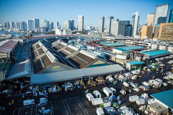 『TSUKIJI WONDERLAND』 - (C) 2016松竹