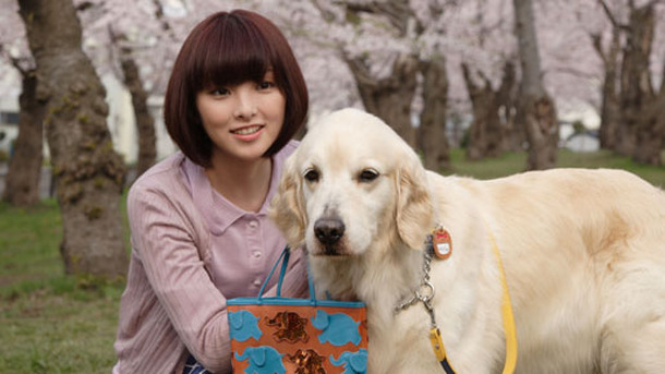 田中麗奈出演作品5選 犬と私の10の約束 葛城事件 ほか