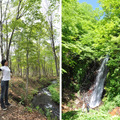 赤倉観光ホテル近くの妙高高原にて自然の力を体内に取り込むアクティブな癒し「森林セラピー」を体験。写真右は、香澄の滝。