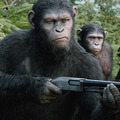 『猿の惑星：新世紀（ライジング）』 - (C)2014 Twentieth Century Fox