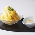 石垣島天然マンゴー添え羽衣ミルクかき氷 ―高級燕の巣ココナッツミルクのシロップをかけて―　2,400円