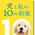 『犬と私の10の約束』DVD
