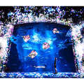 えのすい×チームラボ ナイトワンダーアクアリウム2015／「花と魚- 相模湾大水槽」