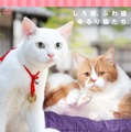 「いやし猫DVD猫侍　玉之丞ときどき春馬」 (C)2015「続・猫侍」製作委員会