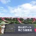 『スター・ウォーズ／フォースの覚醒』田んぼアート見ごろ宣言式