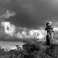 『セバスチャン・サルガド／地球へのラブレター』 - (C) Sebastiao Salgado (C) Juliano Ribeiro Salgado(C) Donata Wenders Salgado (C) Sara Rangel