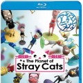「～おとなのアニメ～ The Planet of Stray Cats」ジャケット写真　（C）2014 PLUS heads inc.