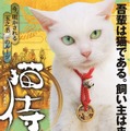 【特報映像】白猫と“萌えるサムライ”が出会うまで！「猫侍 玉之丞、江戸へ行く」2月放送へ・画像
